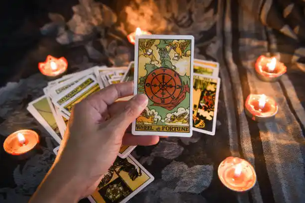 tarot cards North Rose